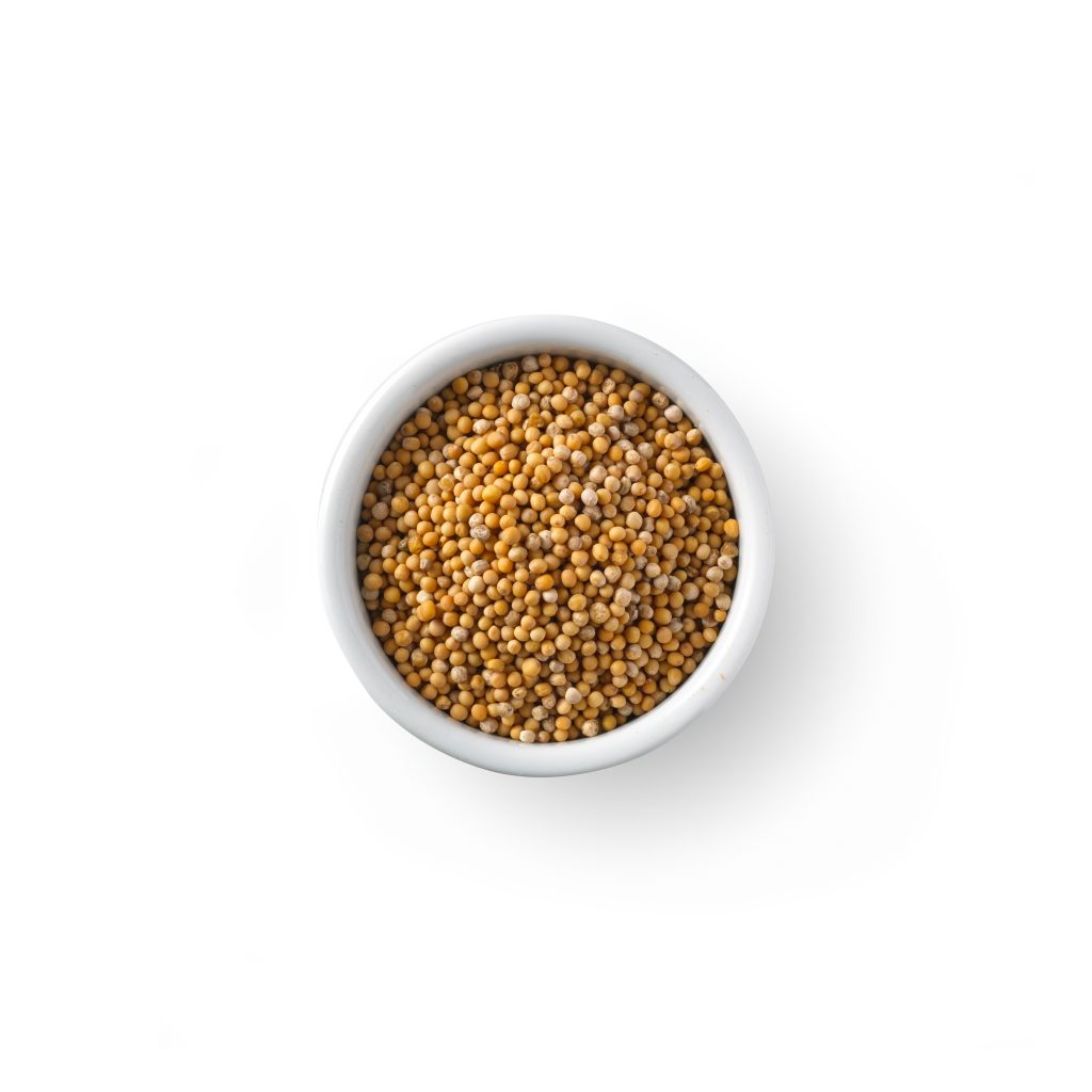 Amazon.com : Organic Zing Yellow Mustard Seeds | Whole